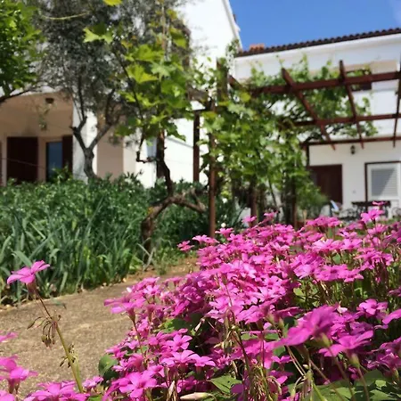 With Parking Space Nin, Zadar - 14044 *